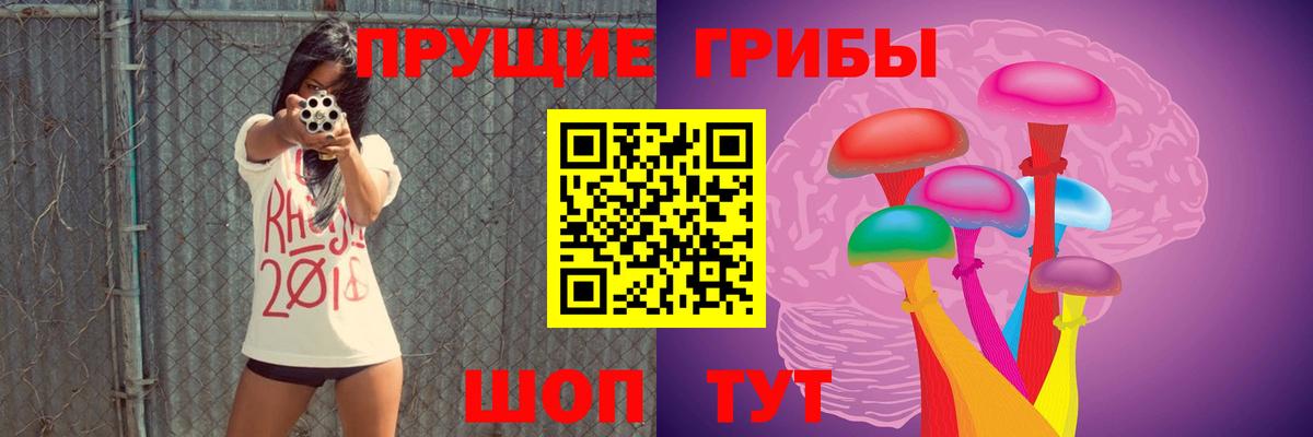 Вязники  Галлюциногенные грибы GOLDEN TEACHER  Вход с VPN 